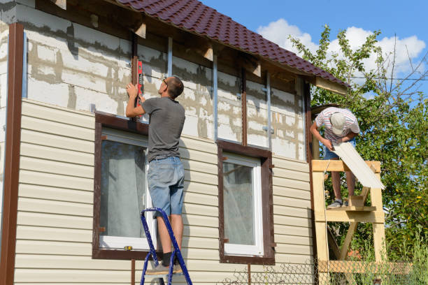 Best Siding Replacement  in Burlington, ND